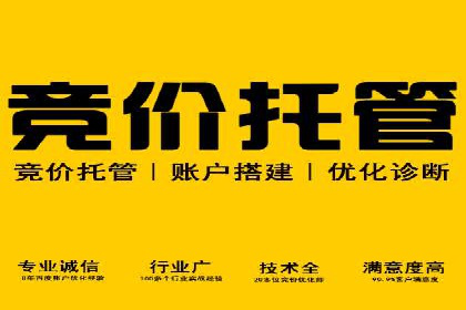 网络推广竞价策略：看IT行业如何玩转广告